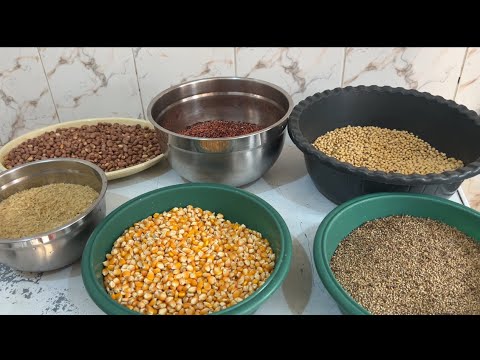 HOW TO MAKE THE BEST TOM BROWN | PERFECT SOLID FOR A 6 MONTH AND ABOVE⬆️