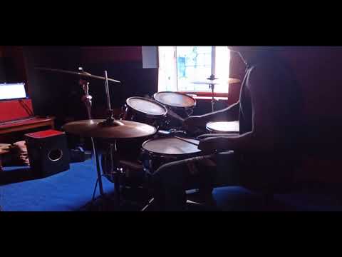 Avin Aster Mockingbird 