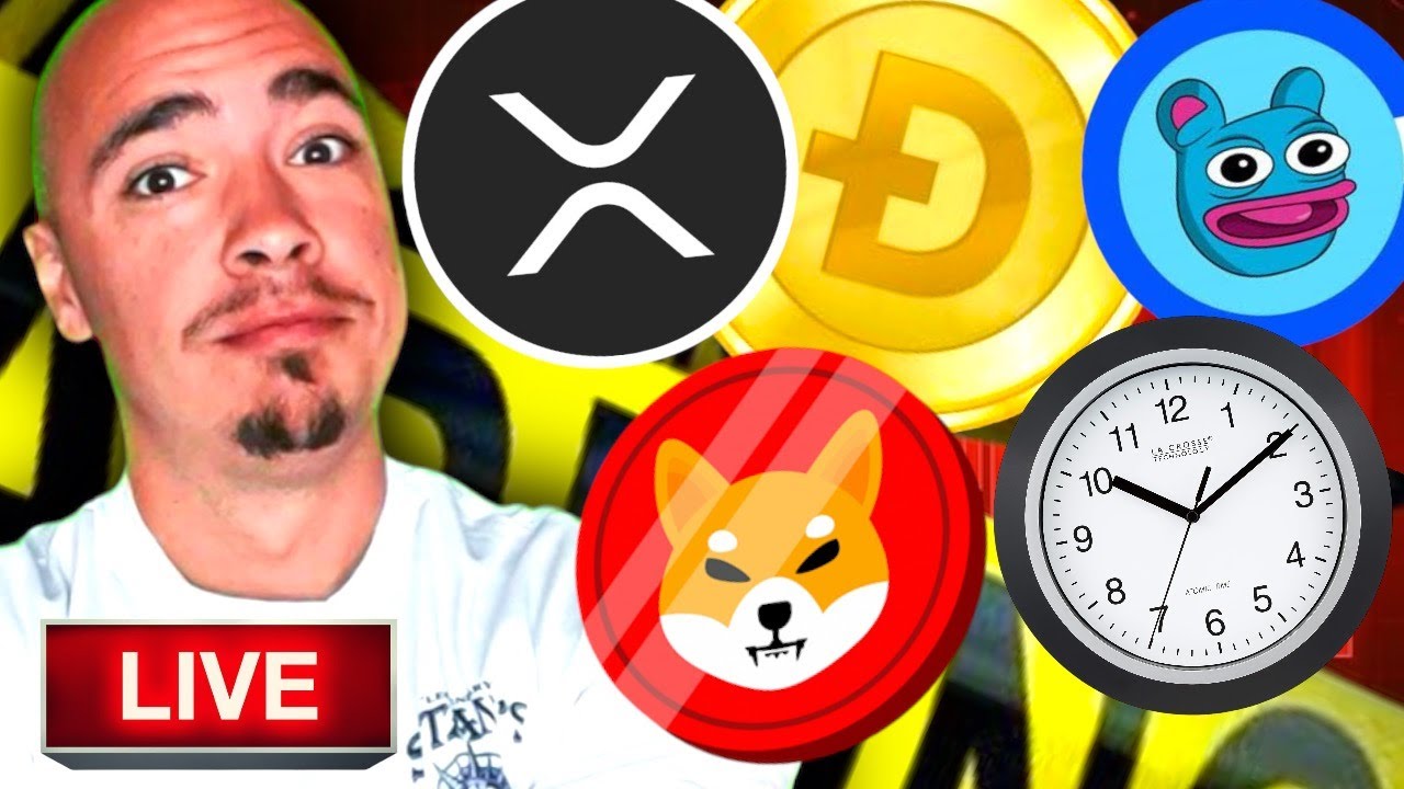MAJOR CRYPTO NEWS! XRP, SHIBA INU COIN, DOGECOIN, BRETT COIN & MORE!