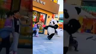 Download lagu cute Teddy 😂😂 Running #shorts #teddy #baby #cutebaby #happychildTV mp3 Download lagu cute Teddy 😂😂 Running #shorts #teddy #baby #cutebaby #happychildTV mp3
