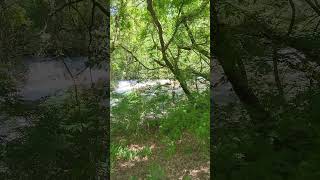烏川（からすがわ）のほとりにて、せせらぎを聴く　国営アルプスあづみの公園 #heliuuum