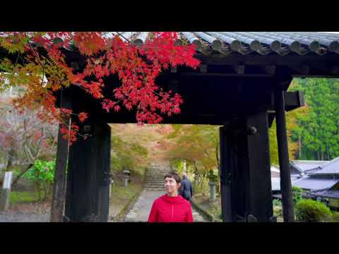 秋月＠福岡県朝倉市【福岡県観光紹介ショートムービー】