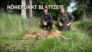 Höhepunkt Blattzeit in Mecklenburg Vorpommern - Jagdkrone