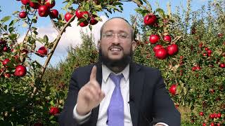 מתי אין צורך לעשר פירות | הרב אברהם חדאד | ארץ חמדה (מוסדות כיסא רחמים) - התמונה מוצגת ישירות מתוך אתר האינטרנט יוטיוב. זכויות היוצרים בתמונה שייכות ליוצרה. קישור קרדיט למקור התוכן נמצא בתוך דף הסרטון