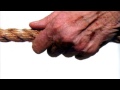 Follower 2