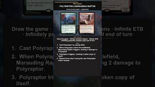 MTG EDH Combo Explained