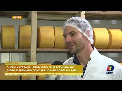 Queijo artesanal produzido em Iraceminha, no Oeste, é premiado como um dos melhores do Brasil