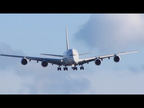 download lagu mp3 mp4 Planes Live, download lagu Planes Live gratis, unduh video klip Planes Live