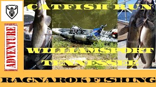 preview picture of video 'Catfish catch and cook kayak fishing.'