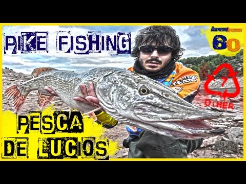 PESCA DEL LUCIO desde ORILLA #6 | Guide de Peche du Brochet en Espagne | www.bofishing.es