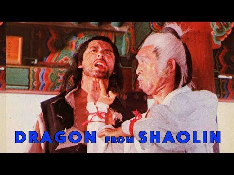 Dragon From Shaolin