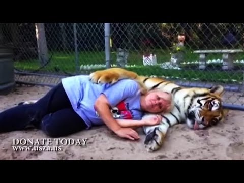 Joe Exotic - Do You Ever Wonder What Love Could Do