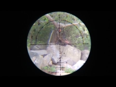 Anos 90 no Vale do São Francisco CANÇÃO XAMBIOÁ DO SERTÃO | CIOSAC