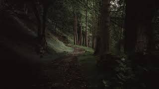 Barrett Mountain Bigfoot