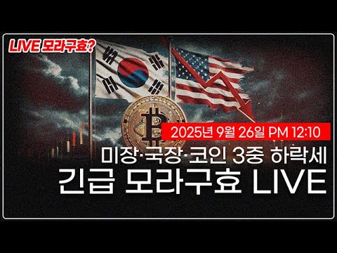 주식 및 코인 시장 동향: 변동성 속 투자 전략 유지 방법