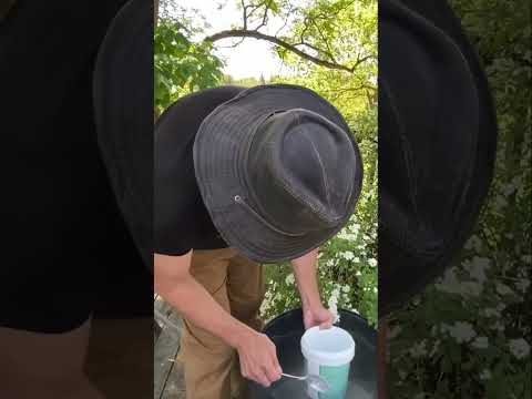 Unlock Plant Growth: The Power of Rock Dust & Nutrients