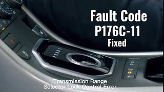 Síntomas del p176c Ford