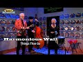 Harmonious Wail - Things That Go (Live on The WDVX Blue Plate Special)