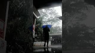 Download lagu story wa // hujan sore hari mp3 Download lagu story wa // hujan sore hari mp3