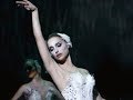 Lana Del Rey - Swan Song (Black Swan)