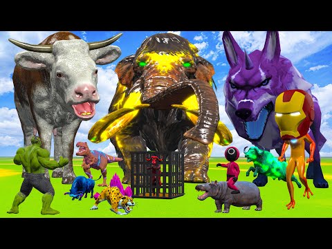 10 Mammoth Elephant SUPER vs 13 Buffalo Fight Hybrid Wolf Giant Cow Cartoon Saved By Woolly Mammoth