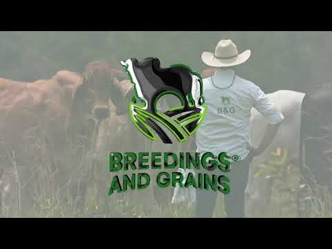 18 Encuentro Mundial de Vaquería DÍA 4