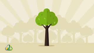 المحاضرة 5 - الفقه - المستوى الرابع - د.منصور الغامدي - الخيار في البيع image