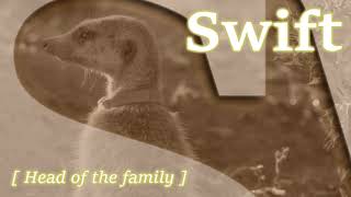 【Meerkat Manor: Rise of the Dynasty】→「Meet The Whiskers 」Fanmade w/ Original Music ᴴᴰ