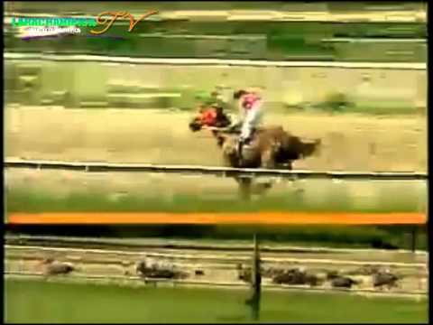 VALENCIA 4 CARRERA, JUEVES 2 DE OCTUBRE DEL 2014