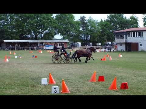 Fahrturnier Alfhausen 25.5.2019