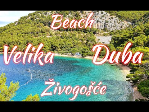 🏖️Beach Velika Duba🌴 - Živogošće🌞