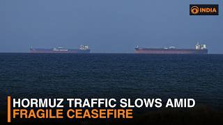 Hormuz traffic slows amid fragile ceasefire