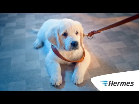 Pakete immer nah & günstig verschicken #IsMitDrin – der Hermes Spot