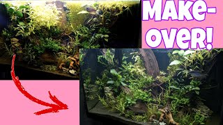 Van OERWOUD naar AQUARIUM!  Kijk mee met ONDERHOUD! //Nickey//