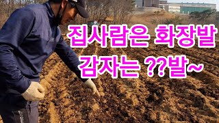 감자 심을밭에 거름은 얼마나 뿌릴까요? 귀농귀촌 전원일기
