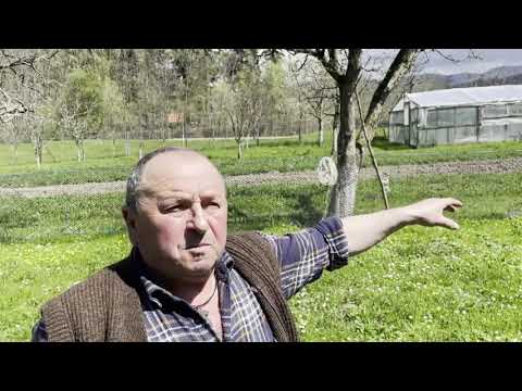 Soluții non-letale pentru urși