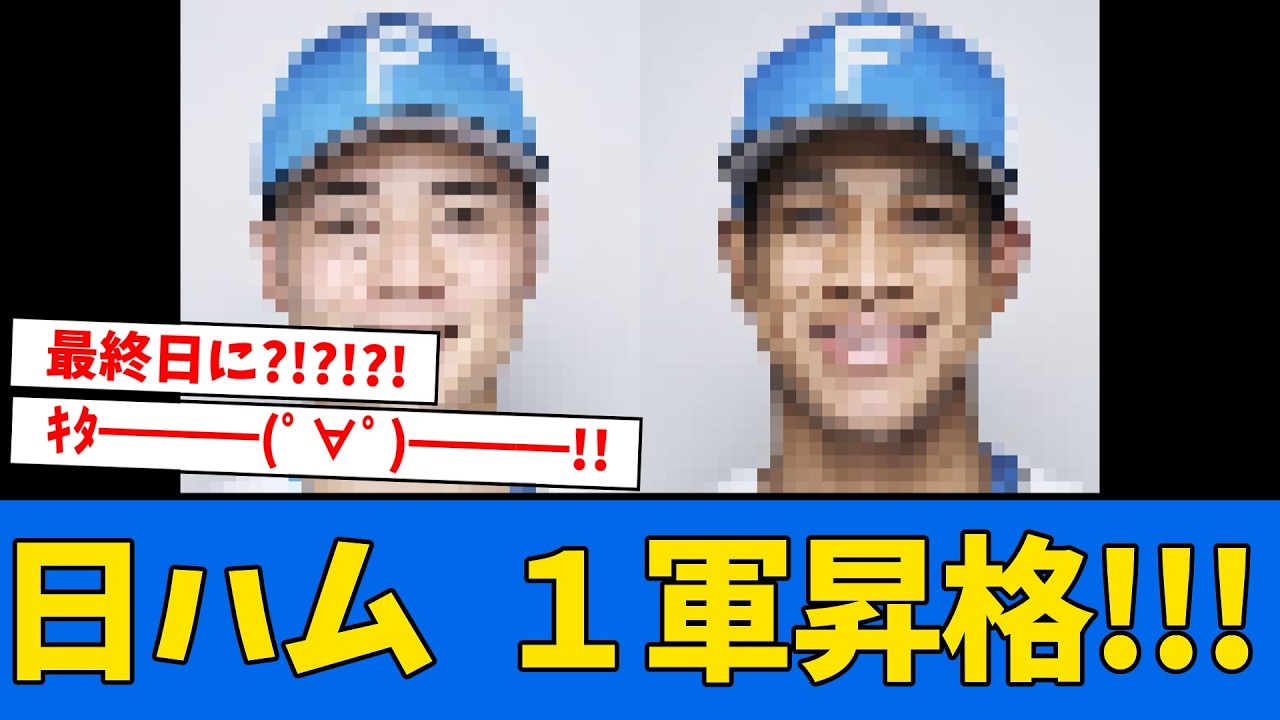 【大朗報】日ハム、”あの選手”が１軍合流‼︎‼︎