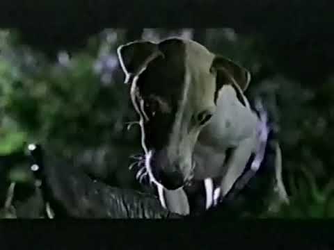 Son of the Mask (2005) - TV Spot 1