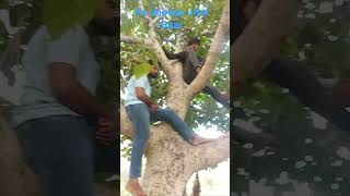 Download lagu Yeh Jeevan Jitni Bar Mile//Banjaran//Rishi Kapoor & Sridevi/Mohd Aziz & Alka Yagnik #banjaran #viral mp3