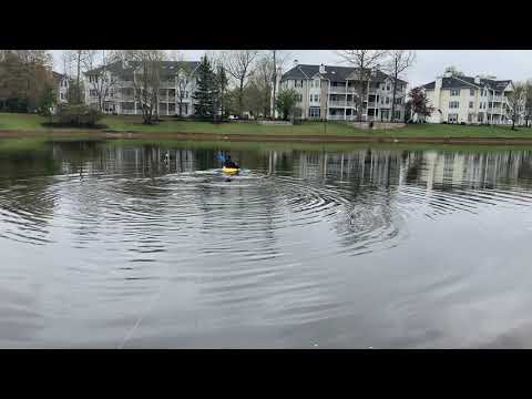 Protecting Community from Geese in East Brunswick, NJ