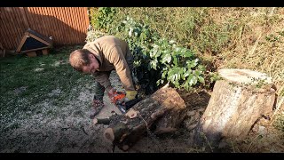 Tree Surgeon a day in the life ~ 4K ~ Part 2