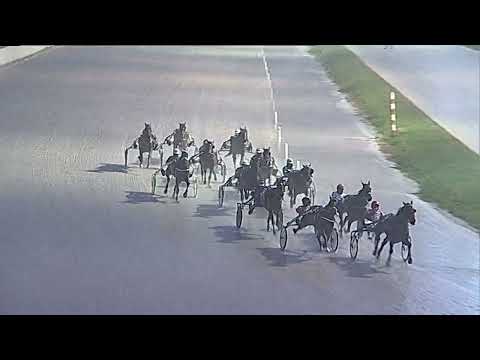 Napoli Trotto 20/01/2023 - 7ª corsa