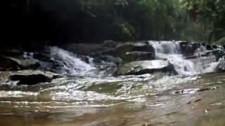 preview picture of video 'Cascade Falls: Western Maryland Potomac State Park'