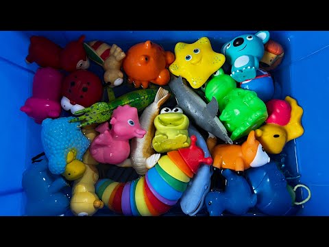 KIDS LEARN BUG AND INSECTS NAMES : LEAF INSECT, LADYBUG, CATTERPILLAR AND CENTIPEDE| INSECT TOYS