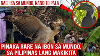 Pinaka Rare na Ibon sa Buong Mundo, sa Pilipinas lang Matatagpuan | Dito nyo lang makikita ito