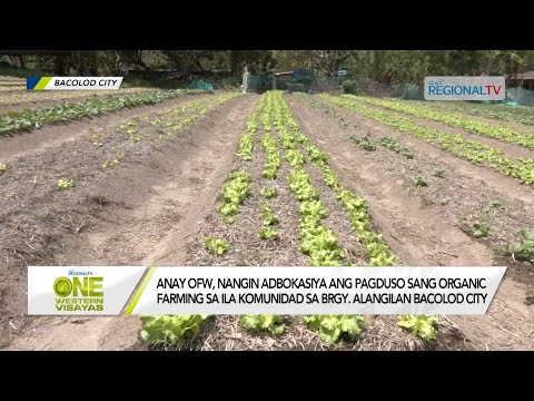 One Western Visayas: Anay OFW, nangin adbokasiya ang pagduso sang organic farming sa ila komunidad