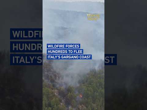 Wildfire forces hundreds to flee Italy's Gargano coast#worldnow