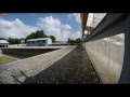Arrival First Pigeon SAMDPR 2016