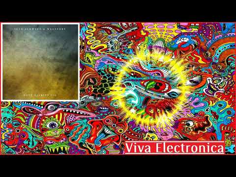 Seth Schwarz & Westerby - Zodiac (Martin Waslewski Remix) [Lost Diaries]