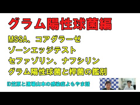 看護学科 ブドウの房状のグラム陽性球菌、MSSA、コアグラーゼテスト、ゾーンエッジテスト、セファゾリン、グラム陽性球菌とグラム陽性桿菌の鑑別が難しい時（よもやま話より）